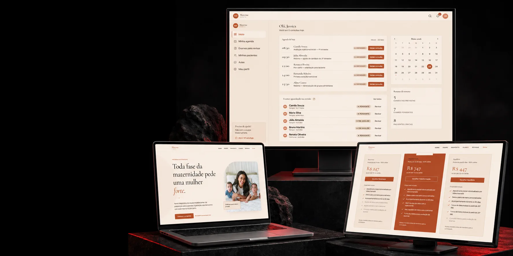 Interface de uma plataforma SaaS apresentada num ecrã